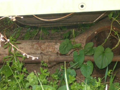 1995 Ford Bronco - Undercarriage components of a vehicle are visible, partially obscured by vegetation.
