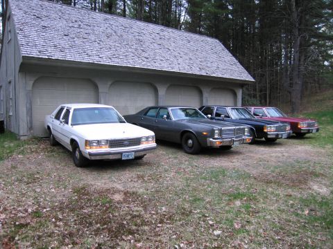 1991 Ford LTD Crown Victoria - Multiple sedans are parked in front of a garage with a wooded background.