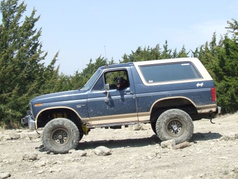 1986 Ford Bronco - A blue Ford Bronco with a tan stripe and white top is shown off-road with large tires.