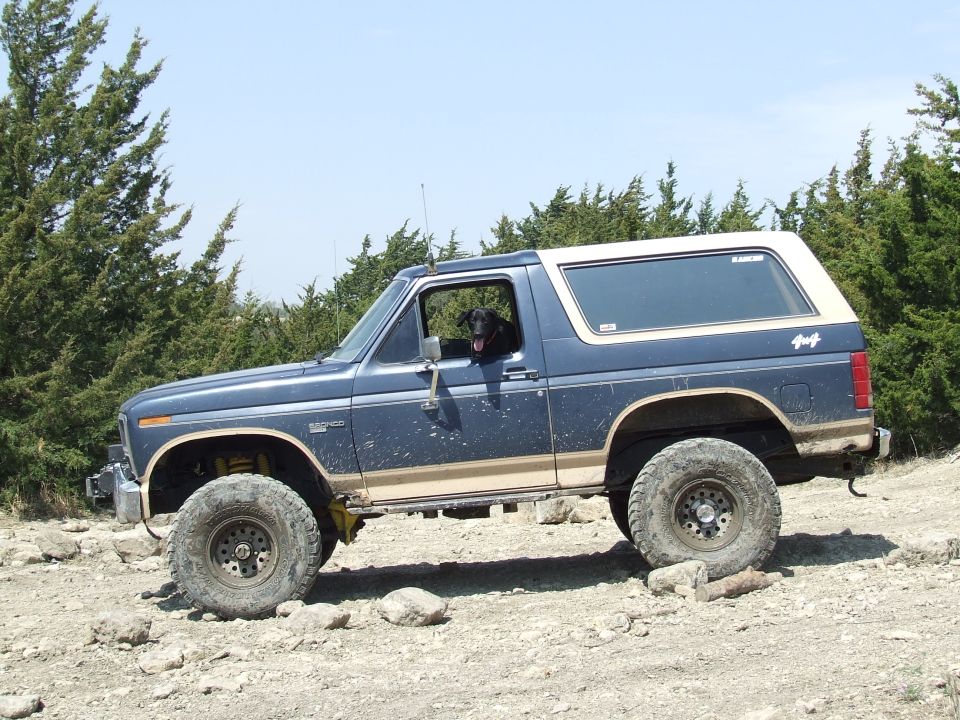 Blue Ford Bronco with a tan stripe and white top, lifted with large tires, on a rocky terrain