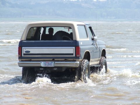 1986 Ford Bronco - This 1986 Ford Bronco is captured from the rear as it drives through shallow water, with its spare tire visible through the rear window.