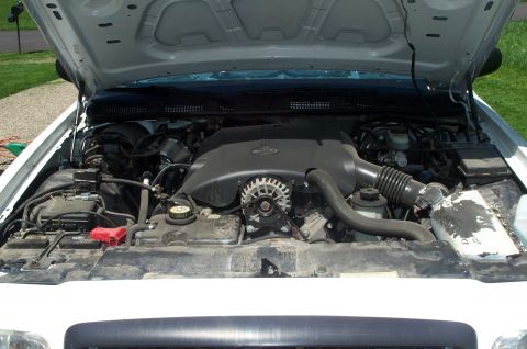 2001 Ford Crown Victoria - Behold the unwashed engine. Note the factory alarm speaker.