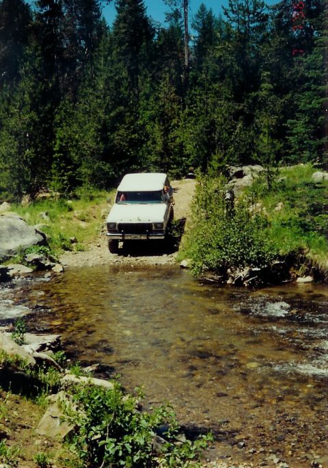 1979 Ford Bronco - A white 1979 Ford Bronco navigates a shallow stream in a wooded area.