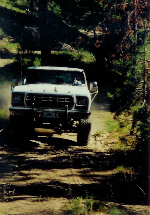 1979 Ford Bronco - A white 1979 Ford Bronco navigates a dusty trail through a wooded area.