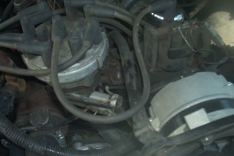 1985 Ford Crown Victoria LTD - Close-up view of engine components including the distributor and alternator.