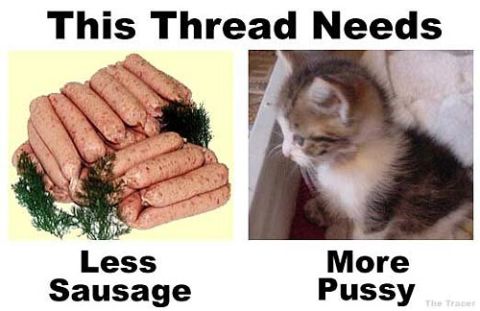 1994 Ford Probe - This meme contrasts a pile of sausages with a kitten, humorously suggesting a need for more kittens and less sausage.