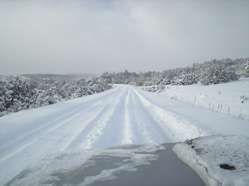 Snow-packed rural road curving through a hilly landscape of snow-covered evergreens under gray sky