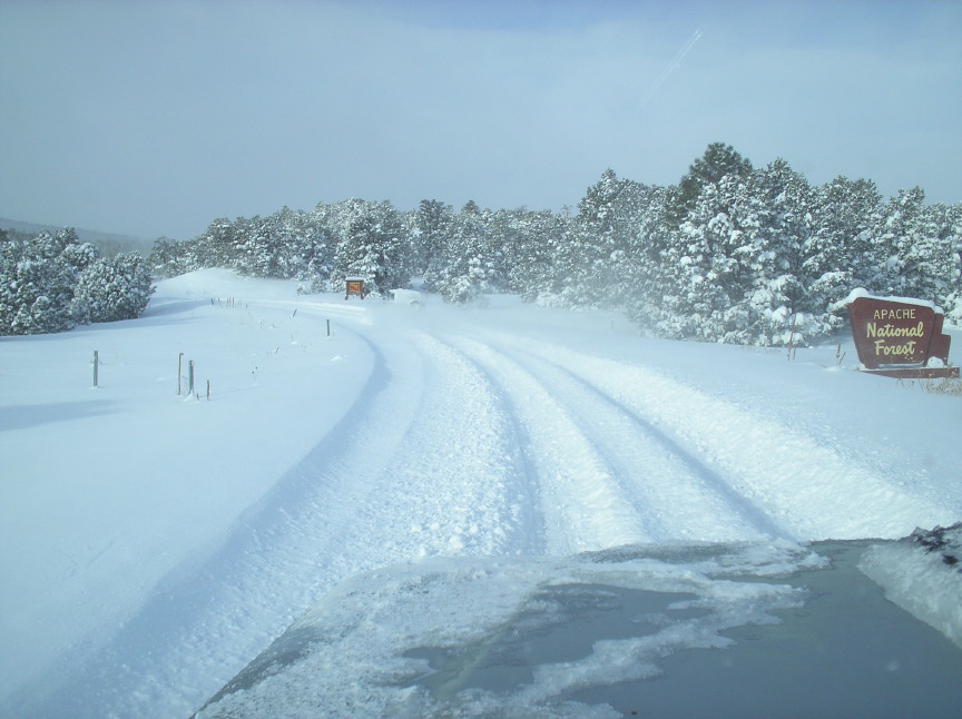 Snowy road with tire tracks past an Apache National Forest sign amid snow-covered pines