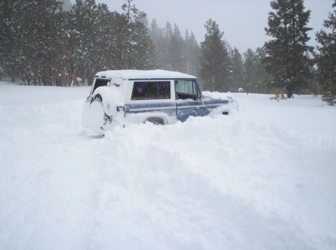 1985 Ford Bronco photo