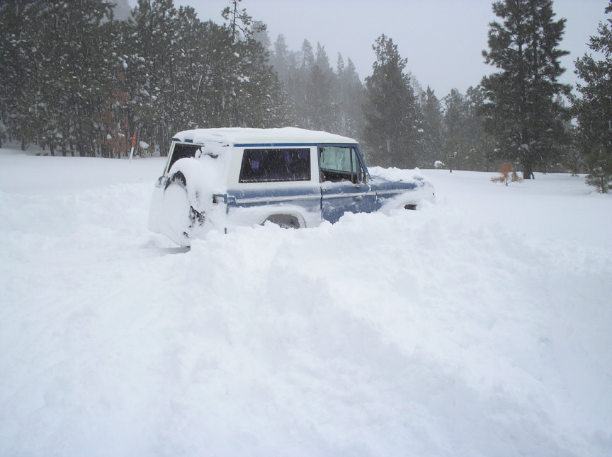 Blue and white SUV sunk to its windows in deep snow surrounded by pines