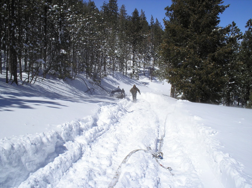 Two people on foot following a packed snow trail up a sunlit forested slope