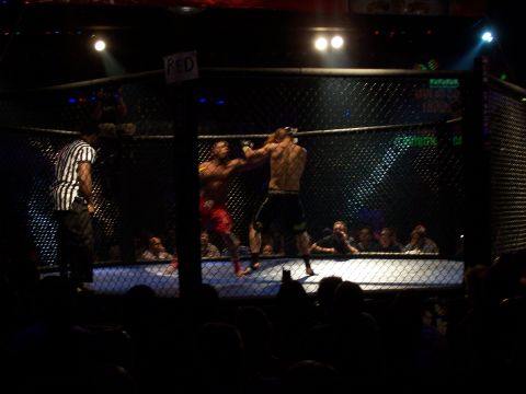 1979 Ford F-150 - A mixed martial arts match takes place inside a fenced ring under bright lights, with an audience watching.