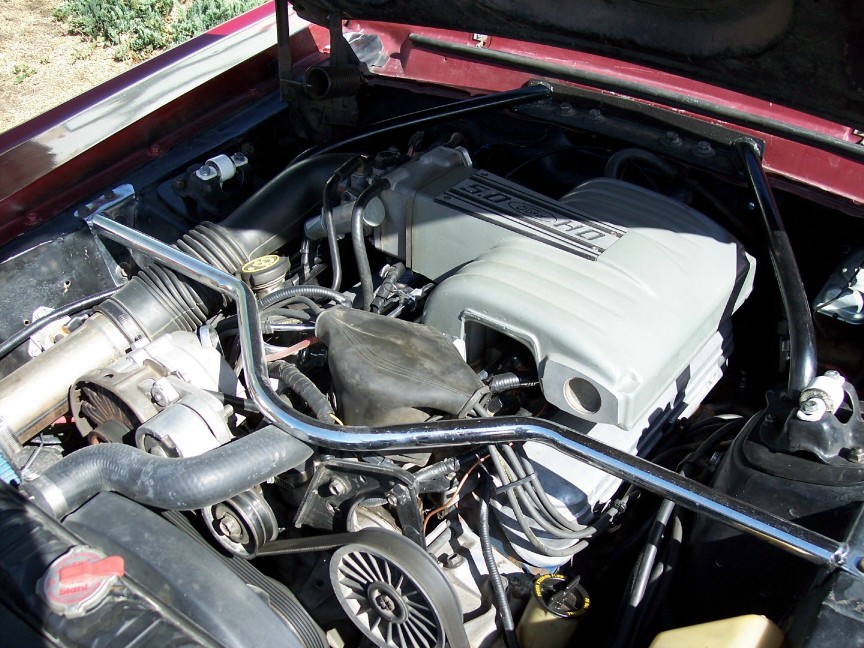 Engine bay with 5.0 HO intake manifold and chrome strut bar