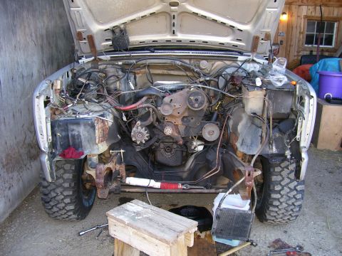 1984 Ford Bronco - The engine bay of a truck is exposed with the hood open, revealing the engine and front suspension components.
