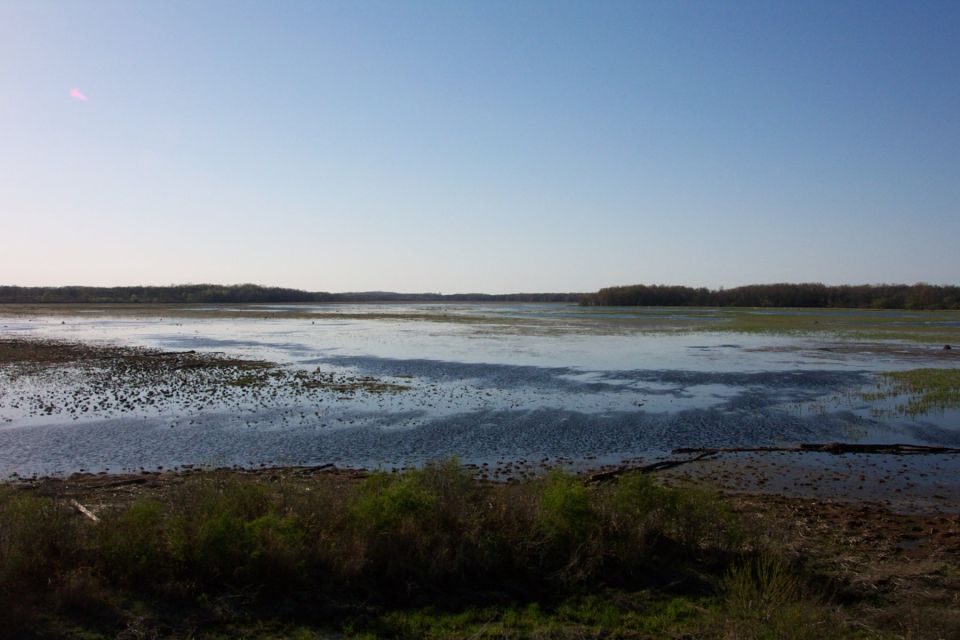 Marshy landscape with water and vegetation under a clear sky. Supermotors.net logo visible