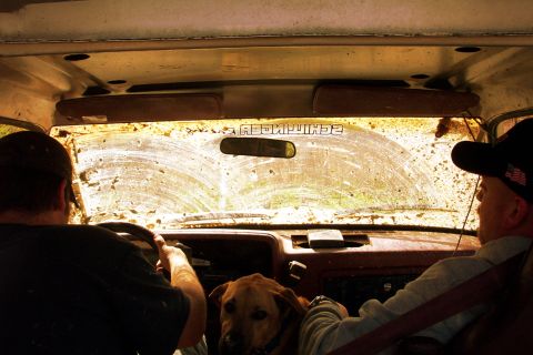 1979 Ford F-150 - Two men and a dog are inside a truck, with the windshield heavily covered in mud.