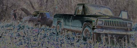 1979 Ford F-150 - A dark green pickup truck sits in a field of tall grass, with another vehicle partially visible behind it.