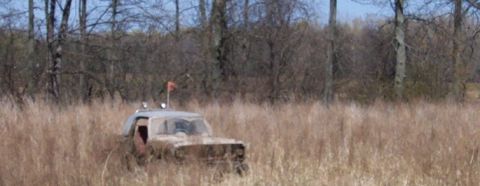 1979 Ford F-150 - A muddy truck sits in a field of dry grass, partially obscured by vegetation.