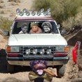 1990 Ford Bronco - A white SUV navigates a dirt road with three occupants visible through the windshield.