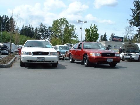 1999 Ford Crown Victoria - Two Ford Crown Victorias are parked outside a building with trees and a cloudy sky overhead.