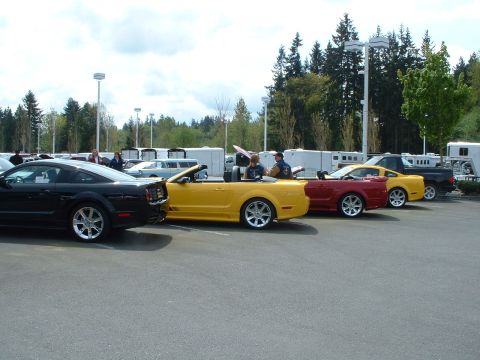 1999 Ford Crown Victoria - Multiple Ford Mustangs, including a yellow convertible and a black coupe, are parked in a lot.