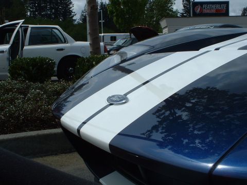 1999 Ford Crown Victoria - Blue car with racing stripes and a Ford emblem, parked next to a white Crown Victoria.