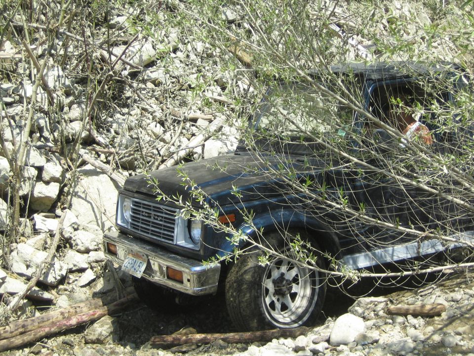 1987 Suzuki Samurai, black, partially obscured by branches, front quarter view