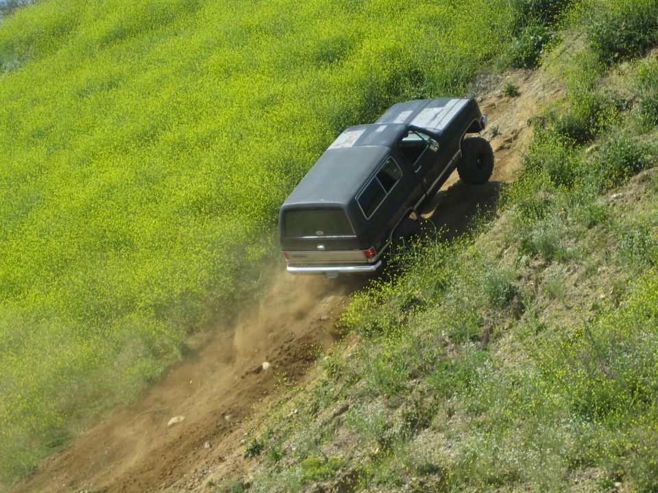 Black SUV with a camper shell driving down a dirt hill covered in yellow flowers