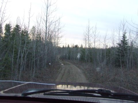 1990 Ford Bronco - Another Road