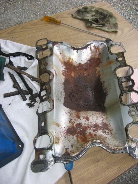 1979 Ford Bronco - A heavily rusted intake manifold gasket is shown on a workbench, alongside a screwdriver and a dirty rag.