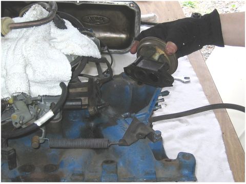 1979 Ford Bronco - A hand holds a vacuum actuator over a blue engine block with a carburetor and a white towel.
