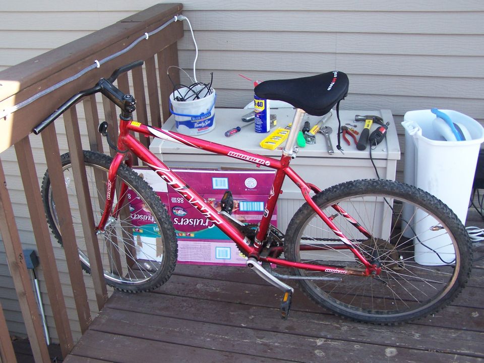 Original Bike