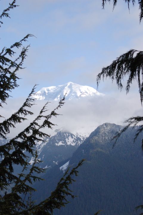 2006 Ford F-250 - A snow-covered mountain looms behind forested slopes, partially obscured by clouds and foreground pine trees.