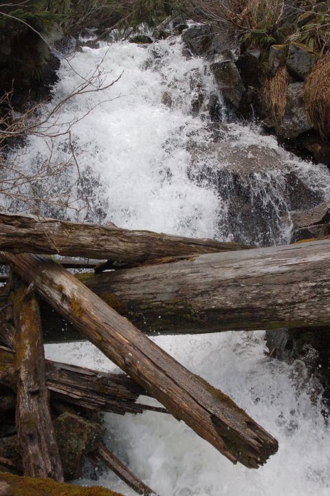 2006 Ford F-250 - A rushing waterfall is partially obscured by fallen, weathered logs in a natural outdoor setting.