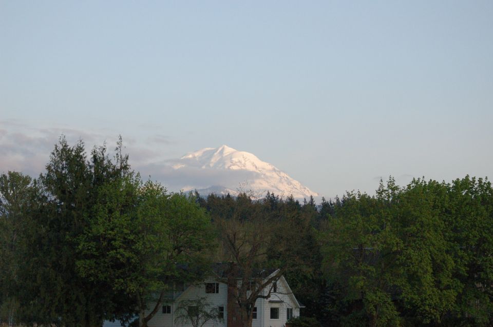 Snow-capped mountain peak behind trees and a white house
