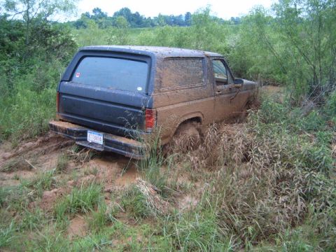 1988 Ford Bronco - This SUV is deeply stuck in the mud, surrounded by tall grass and trees.