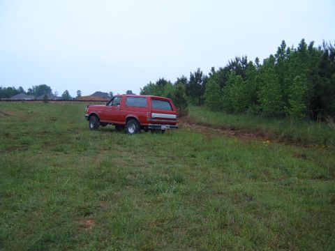 1988 Ford Bronco - A red SUV is parked on a grassy field with trees lining the background.