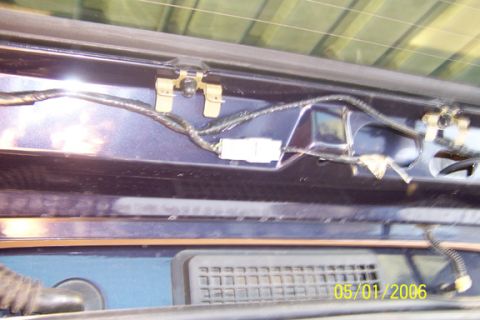 2000 Ford Excursion “Xochi”
