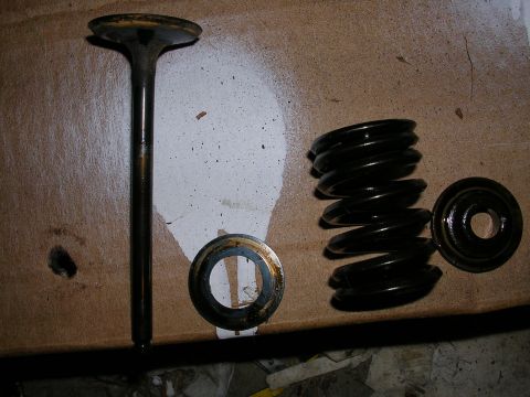 1996 Ford Probe - Engine valve and springs shown on a surface. No vehicle is visible.