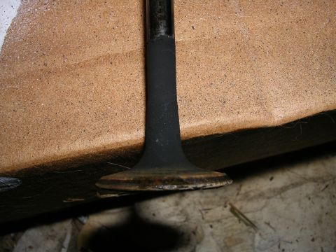 1996 Ford Probe - A close-up view of an engine valve, showing significant carbon deposits on its head and stem, indicating wear or combustion issues.