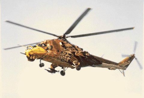 1968 Ford Mustang - This helicopter features an elaborate eagle camouflage paint scheme, giving it a striking appearance against the sky.