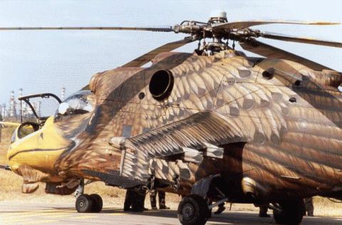 1968 Ford Mustang - This helicopter features an elaborate eagle camouflage paint scheme on its exterior.