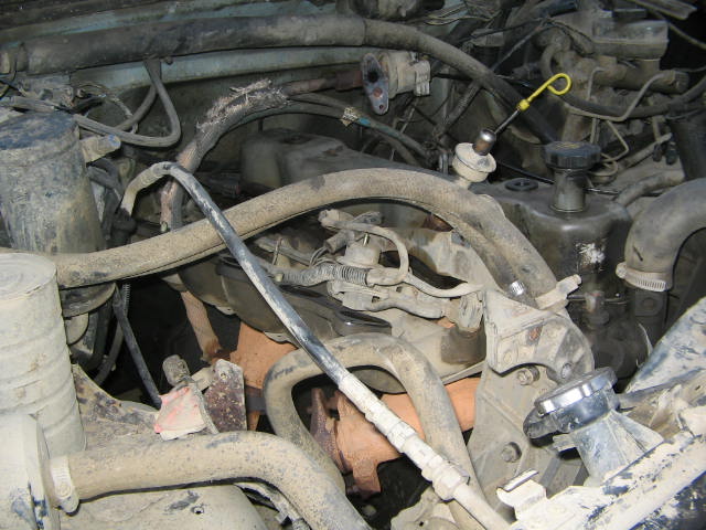 engine bay with hoses, wires, and engine parts visible