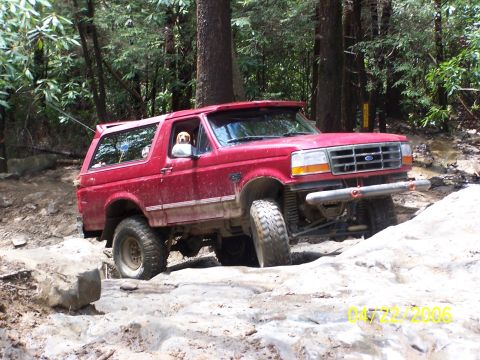 1995 Ford Bronco - A red Ford Bronco tackles a challenging off-road trail with a dog looking out the window.