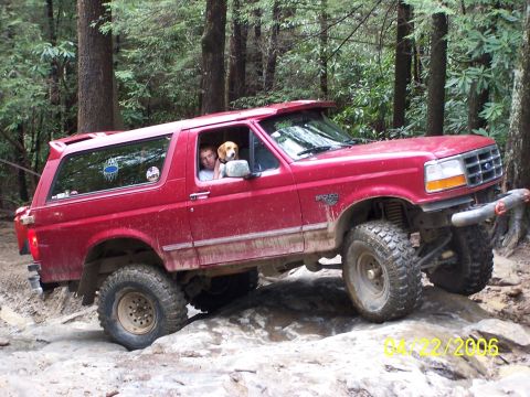 1995 Ford Bronco - A red 1995 Ford Bronco navigates a rocky off-road trail with a driver and a dog inside.