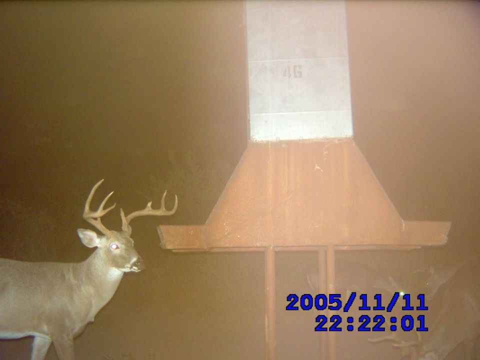 South East La Rosita

the first pic is the buck i killed with my bow