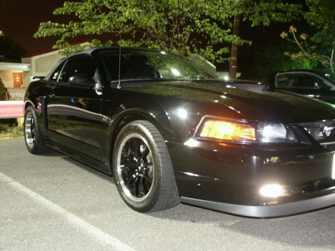 2001 Mercury Grand Marquis - A black Ford Mustang GT convertible is parked outdoors at night, with trees in the background.