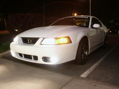 2001 Mercury Grand Marquis - Front view of a white Ford Mustang Cobra parked at night, showing its distinctive grille and headlights.