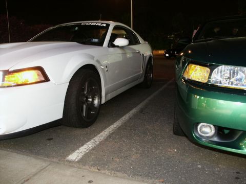 2001 Mercury Grand Marquis - Two cars, a white Mustang Cobra and a green car, are parked side-by-side in a lot at night.