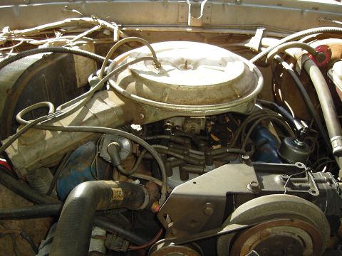 1978 Ford Bronco photo